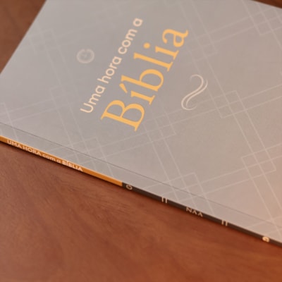 image_f79edb8c-d926-4f5c-ab84-132d73fc9632