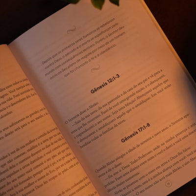 image_87b01822-099a-4e9a-80f2-dfc4847be382