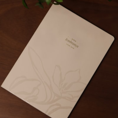 image_3a683bec-a0a1-44e6-8b0f-9027dbf4089e