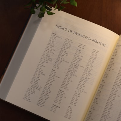 image_75913b0c-dd1c-4a67-ace4-48e72dd2967c