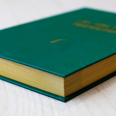 image_b77384a2-ecef-40b8-ba6c-29be9590fb82