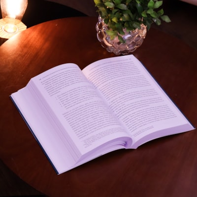 image_b1624a88-152b-419a-bb26-22d9bd49d9c7