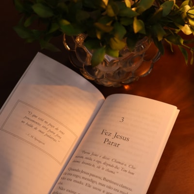 image_554b9b6d-8206-4e02-ab11-1ed71b124226