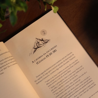 image_65c9b1e8-0bf4-4aa1-816e-1cda57a331f7