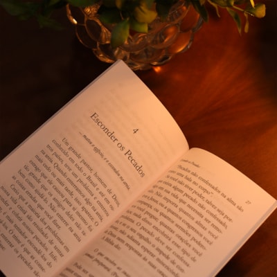 image_b645e593-a557-42e0-8f91-2d4706ac9103