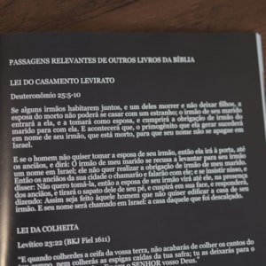 Verso a Verso A Bíblia em Quadrinhos | O Livro de Rute | Simon Amadeus Pillario