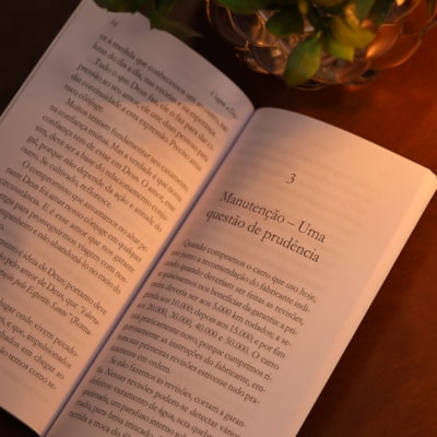 image_9037fd76-b502-47fc-95bb-bc5446df80a1