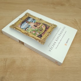 Segunda imagem do produto Vícios Esplêndidos | Rebeca Konyndyk Deyoung