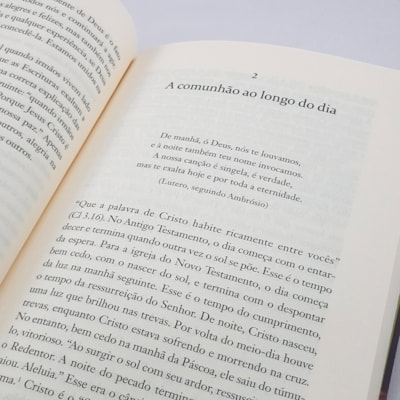 image_6ef13122-4c5b-4c9a-9657-65c356f76e5c