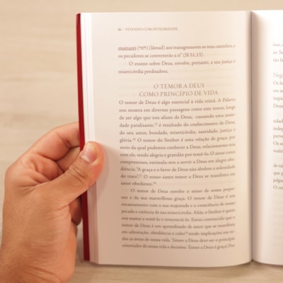 image_389ab524-d66e-435d-9004-ab4290c77586